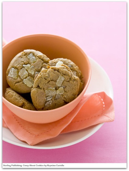 Ginger_Crazy_About_Cookies_Krystina_Castella