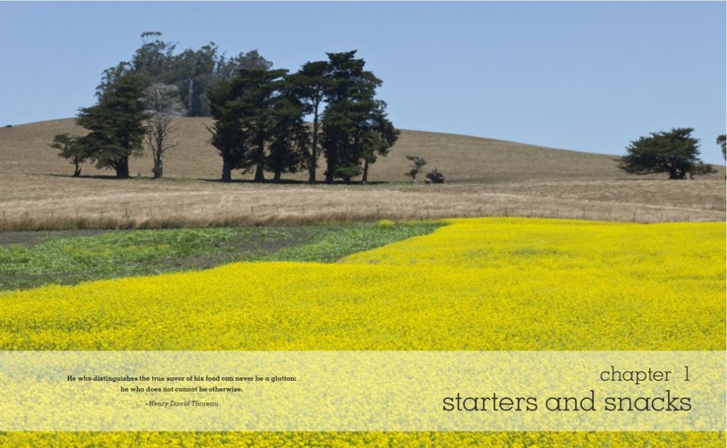 the romantic prairie cookbook 1