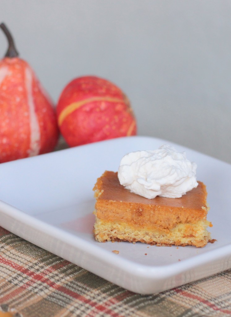 Thanksgiving and Christmas Dessert Recipe