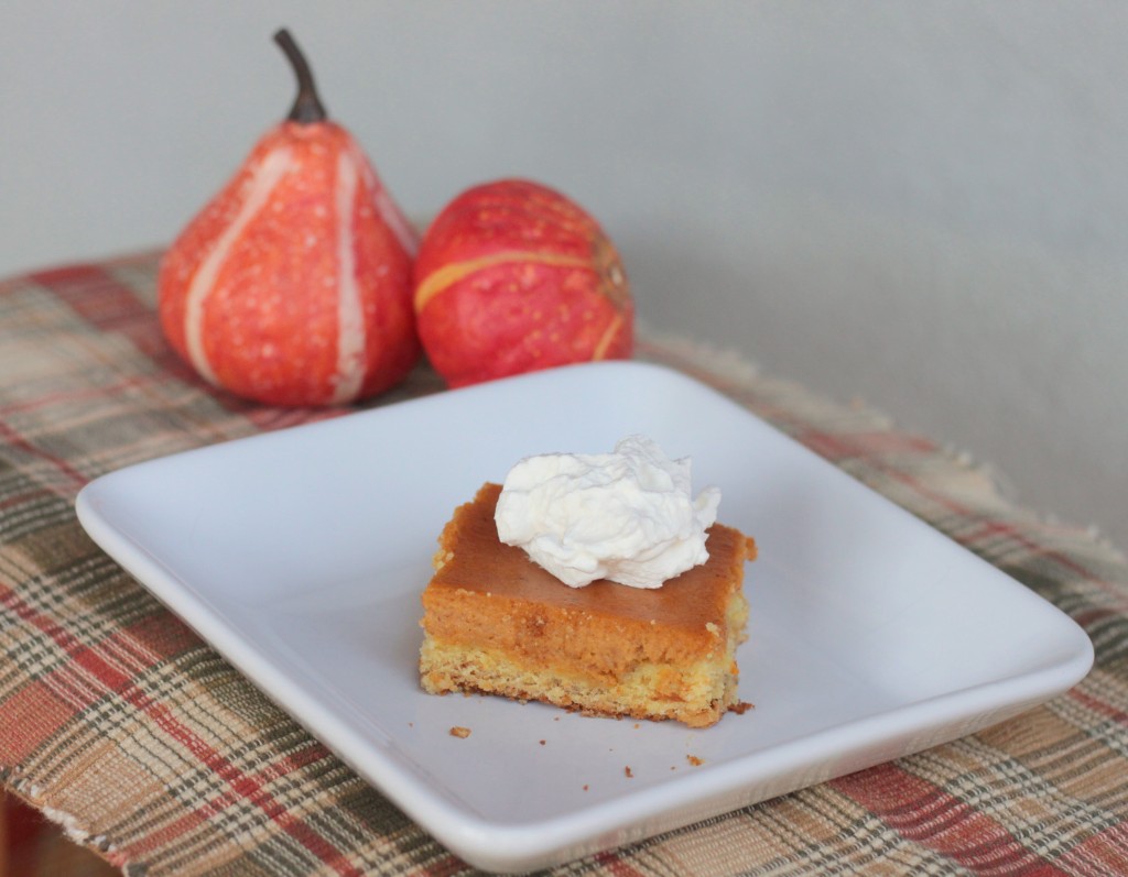 Easy Pumpkin Dessert Recipe for Thanksgiving or Christmas